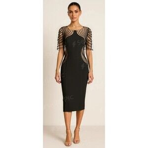 Katherine Kelly Paneled Sheath Dress Sz 4 Bodycon Knee-length sheer silhouette